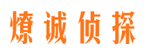 柳北侦探